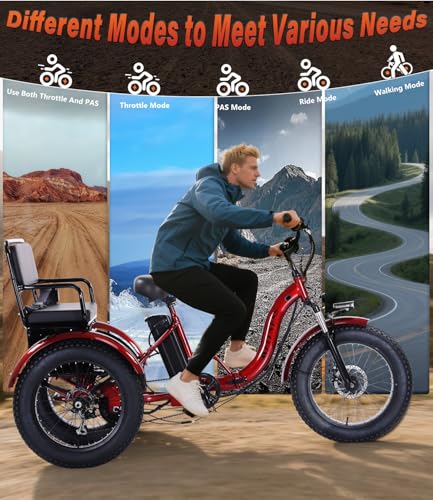 Electric Tricycle 3 Wheel Bike G706107