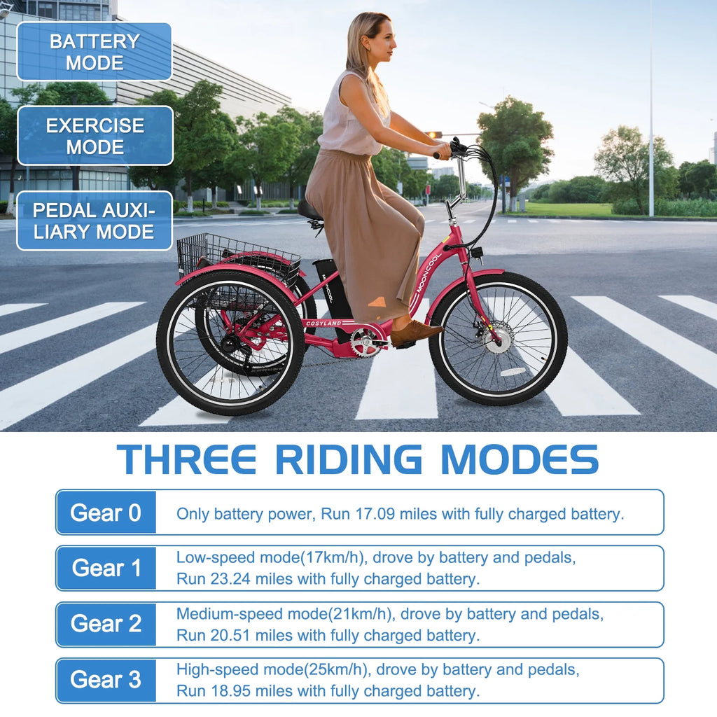 24Inch Electric Trike, 350W 36V 10AH Lithium Battery, 7 Speeds Three Wheel Bike N9026
