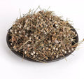 Chanca Piedra Extract 10:1 Powder 1KG L6920