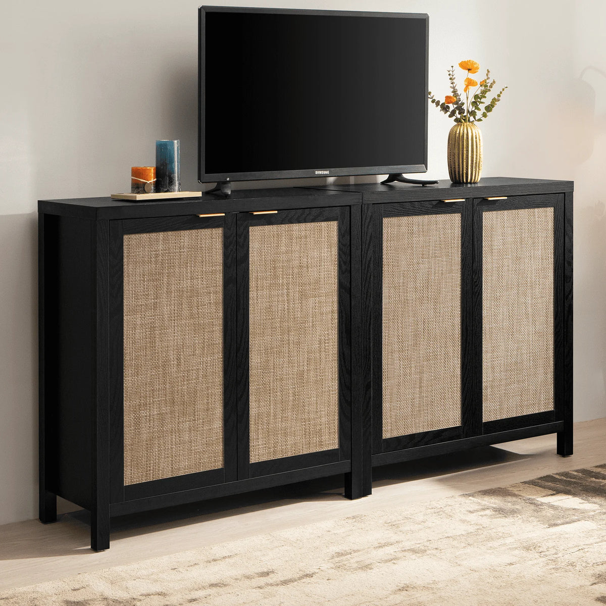 Set of 2 Rattan Cabinet with Doors D40400