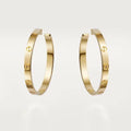 Earrings N268273