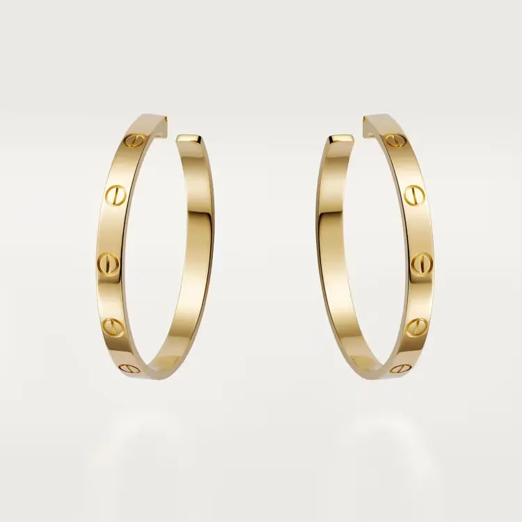 Earrings N268273