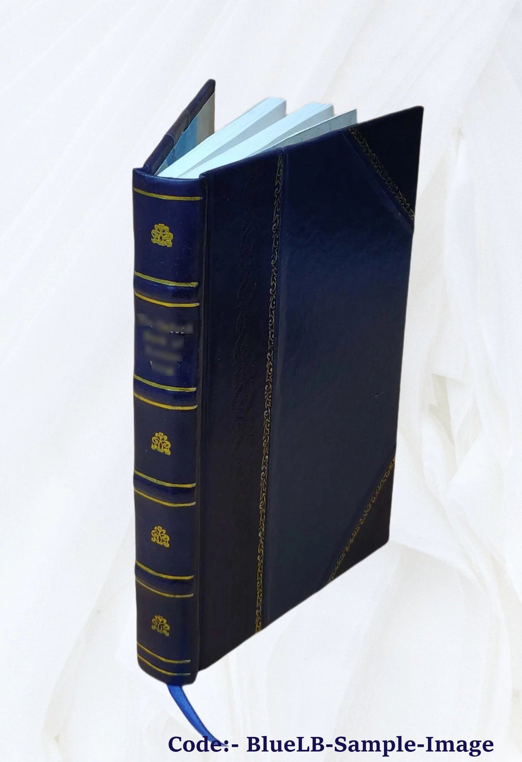 1917 Leather Bound M873119
