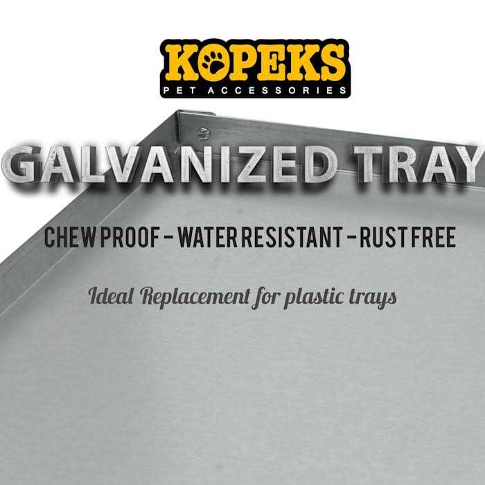 Galvanized Metal Tray E953123