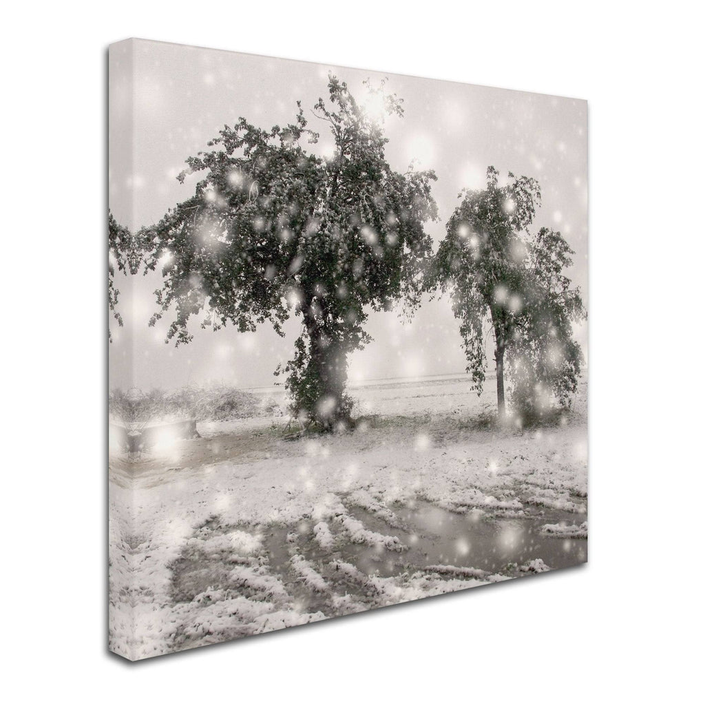 Canvas Art D464