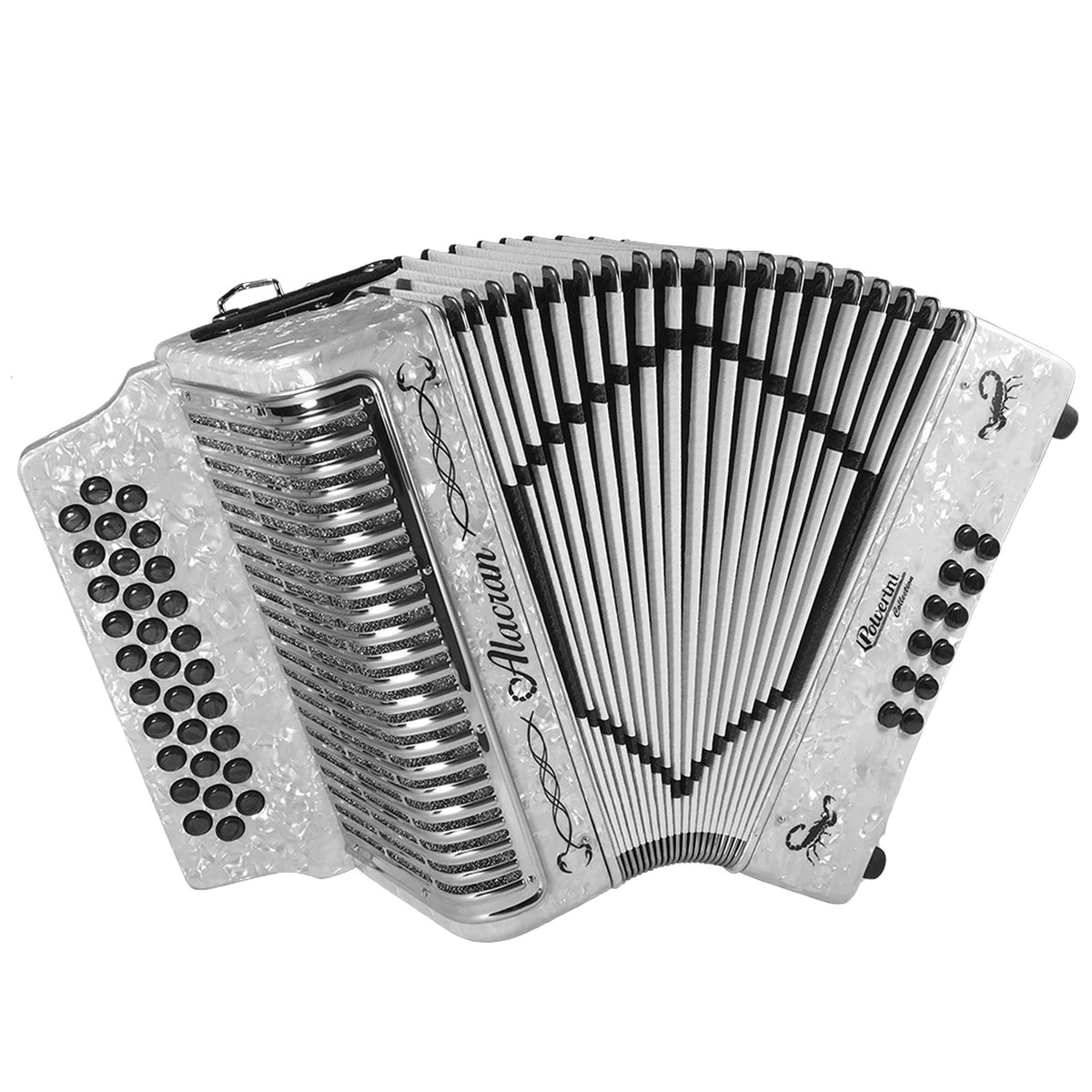 31 Button 12 Bass Accordion with Straps and Case E414