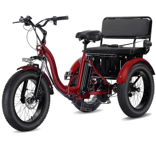 Electric Tricycle 3 Wheel Bike G706107