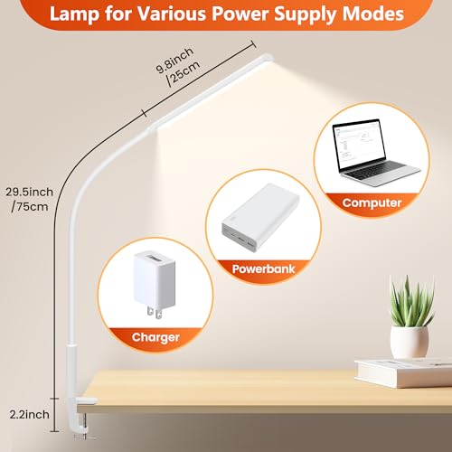 White Desk Lamp with Clamp H298915