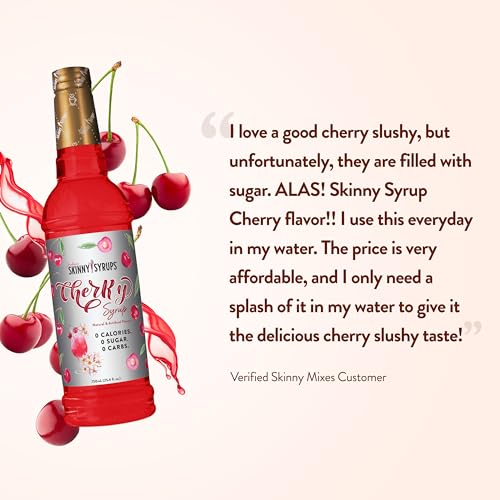 Sugar Free Syrup, Raspberry Flavor, 25.4 Fl Oz, 2 Pack D3898