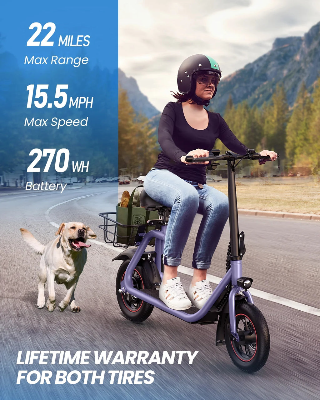 Electric Scooter with Seat, 450W Motor, 22 Miles Range, Folding, Black G7384
