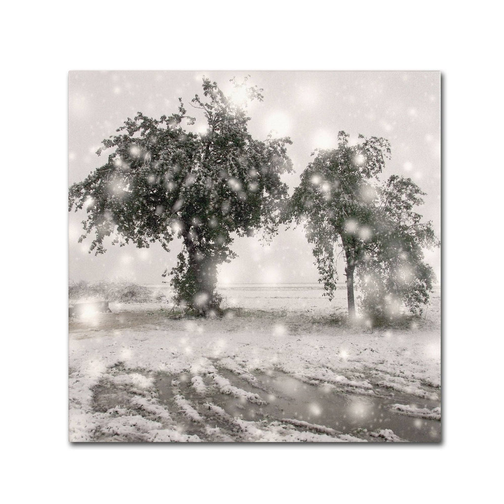 Canvas Art D464