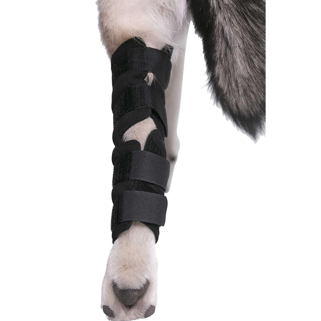 Dog Hock Brace Rear Leg Joint Wrap A620760