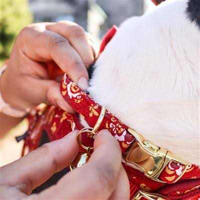 Pet Bells K18138