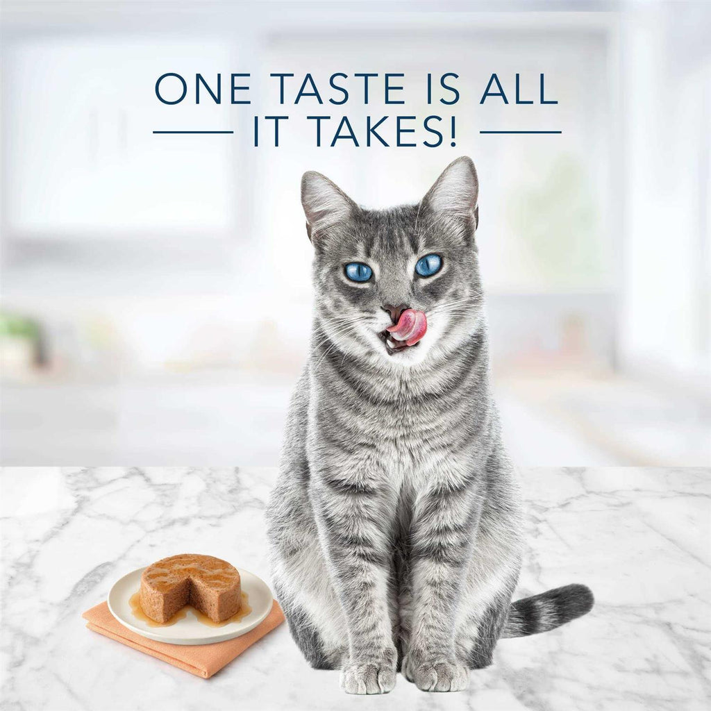 Wet Cat Food Variety R17043