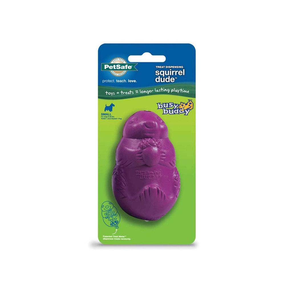 Squirrel Dude Dog Toy O10423