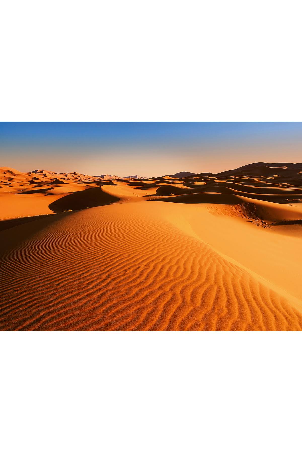 Desert Landscape Wall Mural A875913