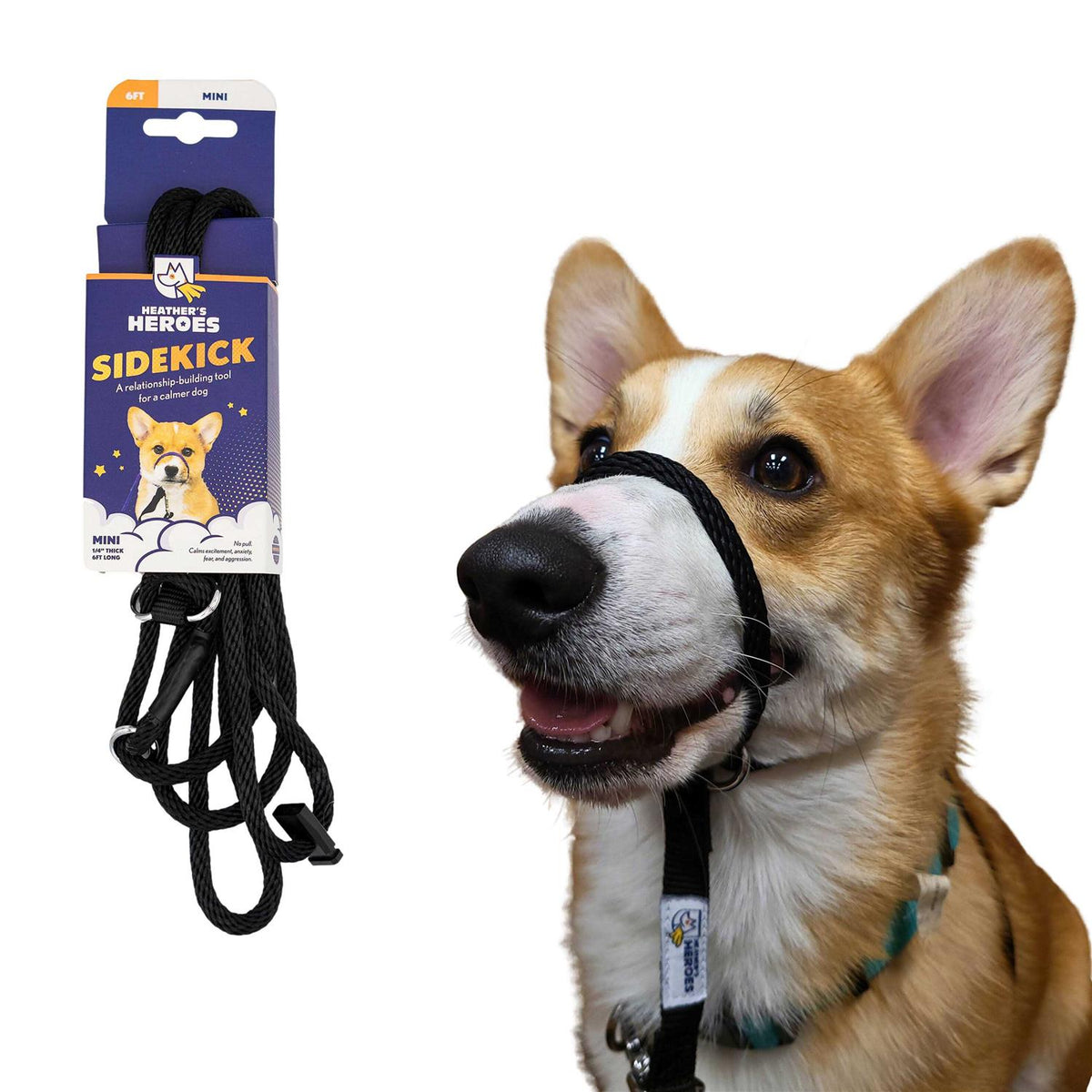 Sidekick M36344