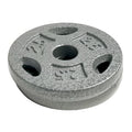 10 lb Standard 1 Weight Plate Set (2.5 lb x 4) B957
