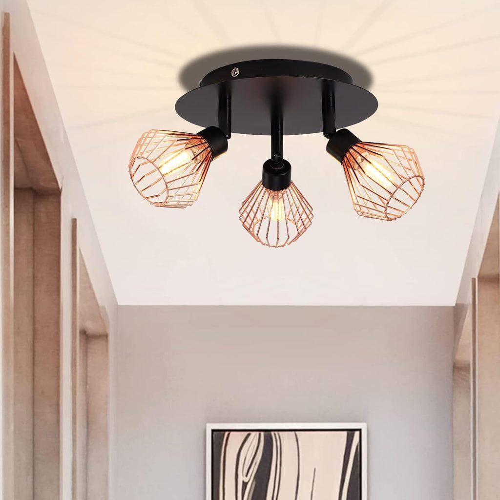 Golden Iron Birdcage Ceiling Light B217167