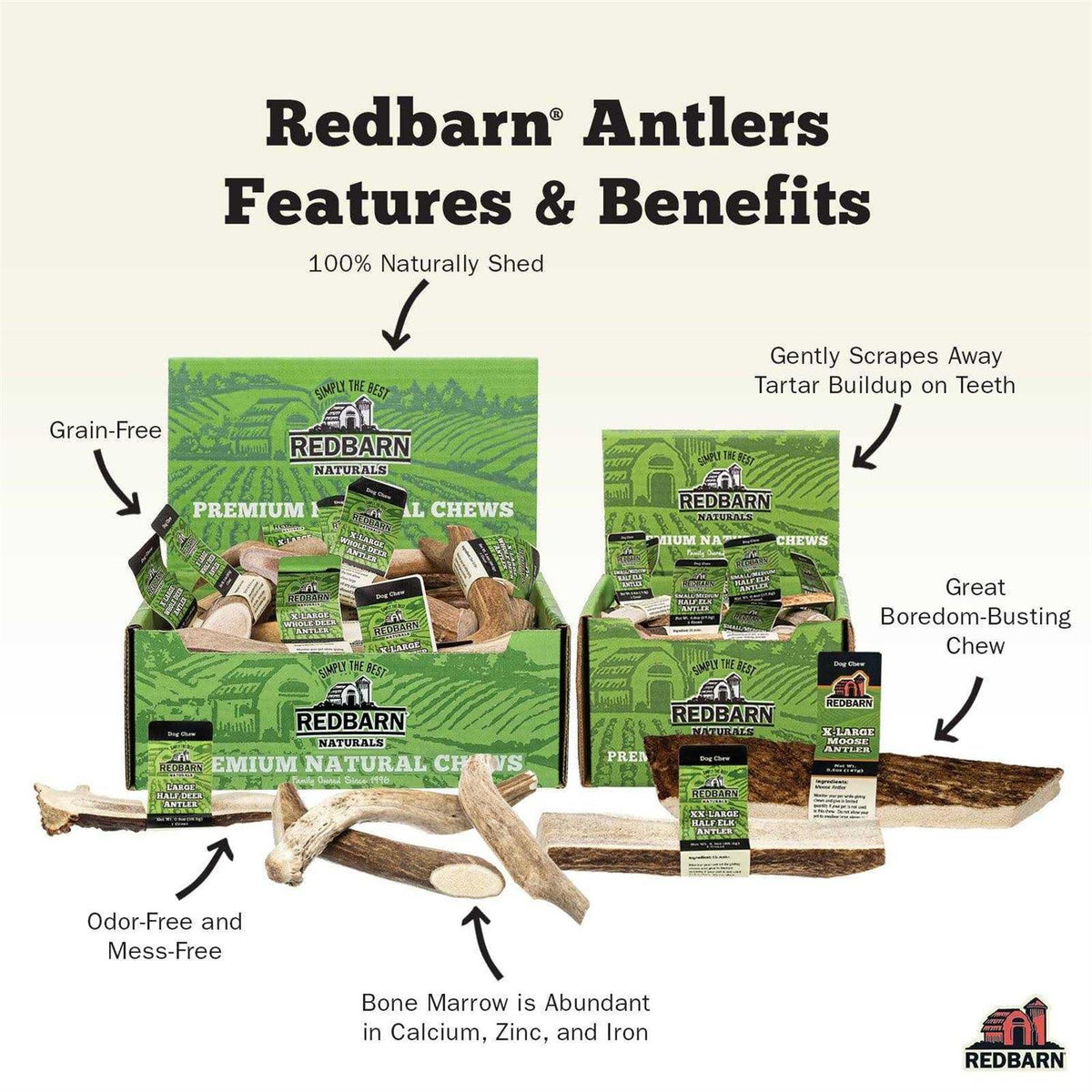 Deer Antler P115