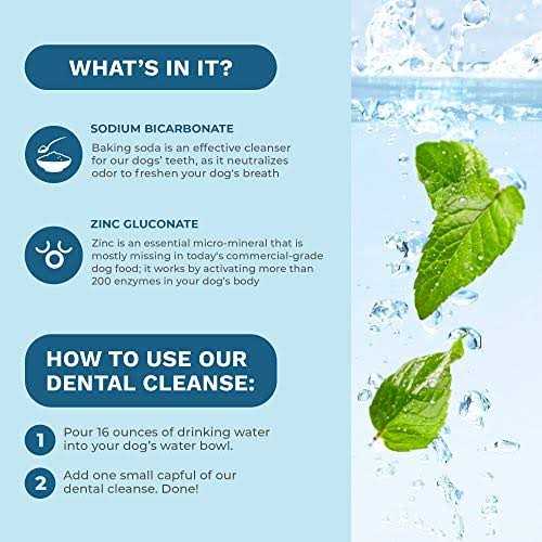 Dental Cleanse for Dogs & Cats Z821