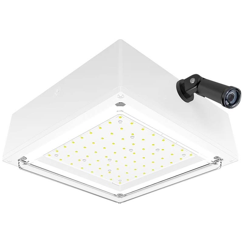 Vandalproof Canopy 10W Cool LED 120V White A2508