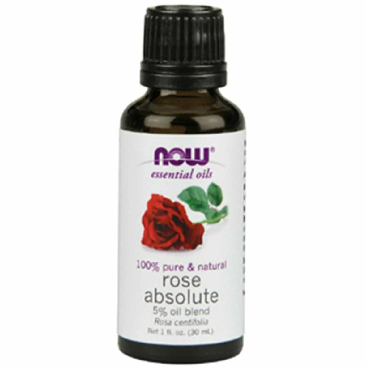 Rose Absolute 5% Blend Oil 1 oz Z197644