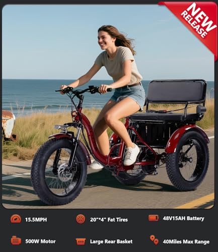 Electric Tricycle 3 Wheel Bike G706107