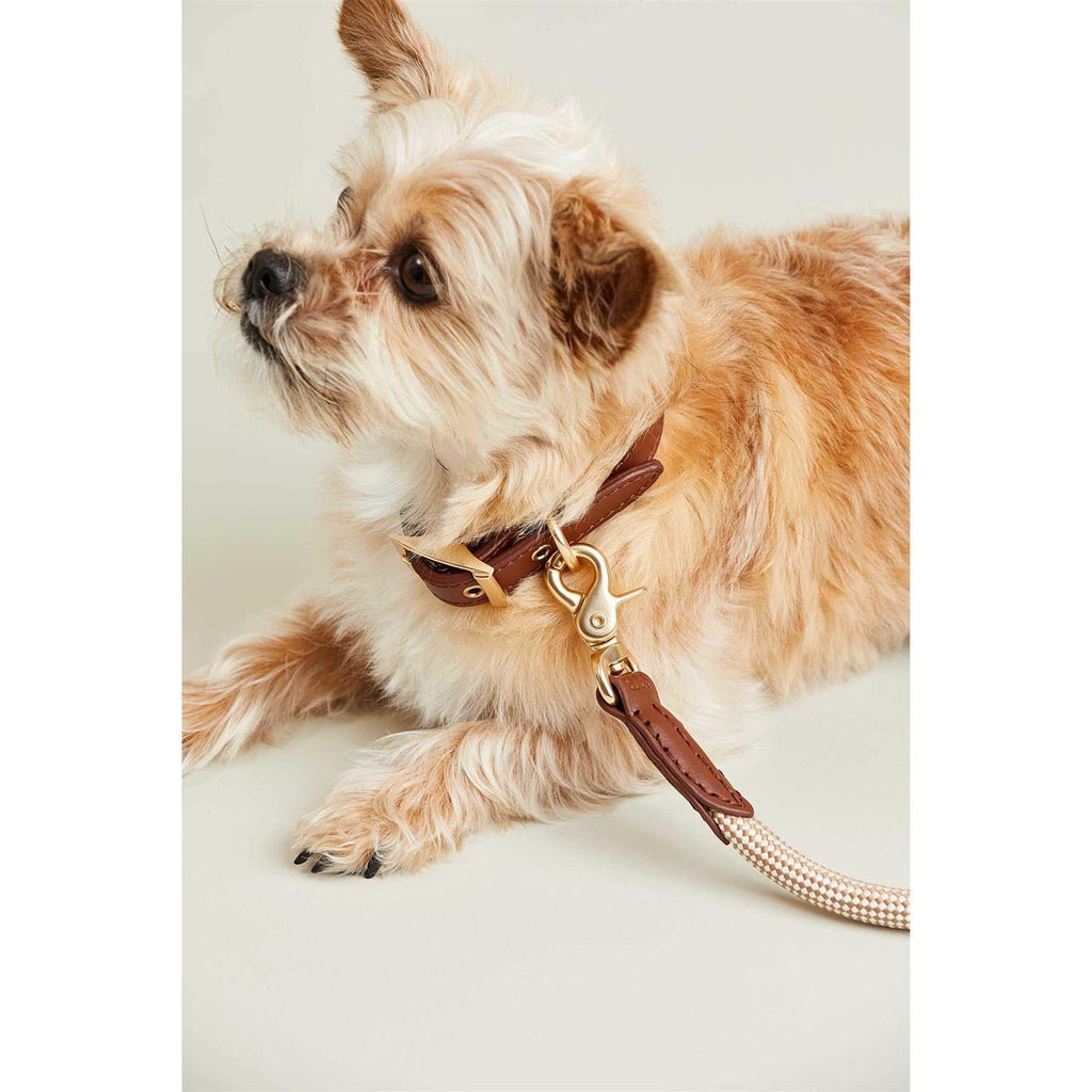 Check Rope Dog Leash P731709