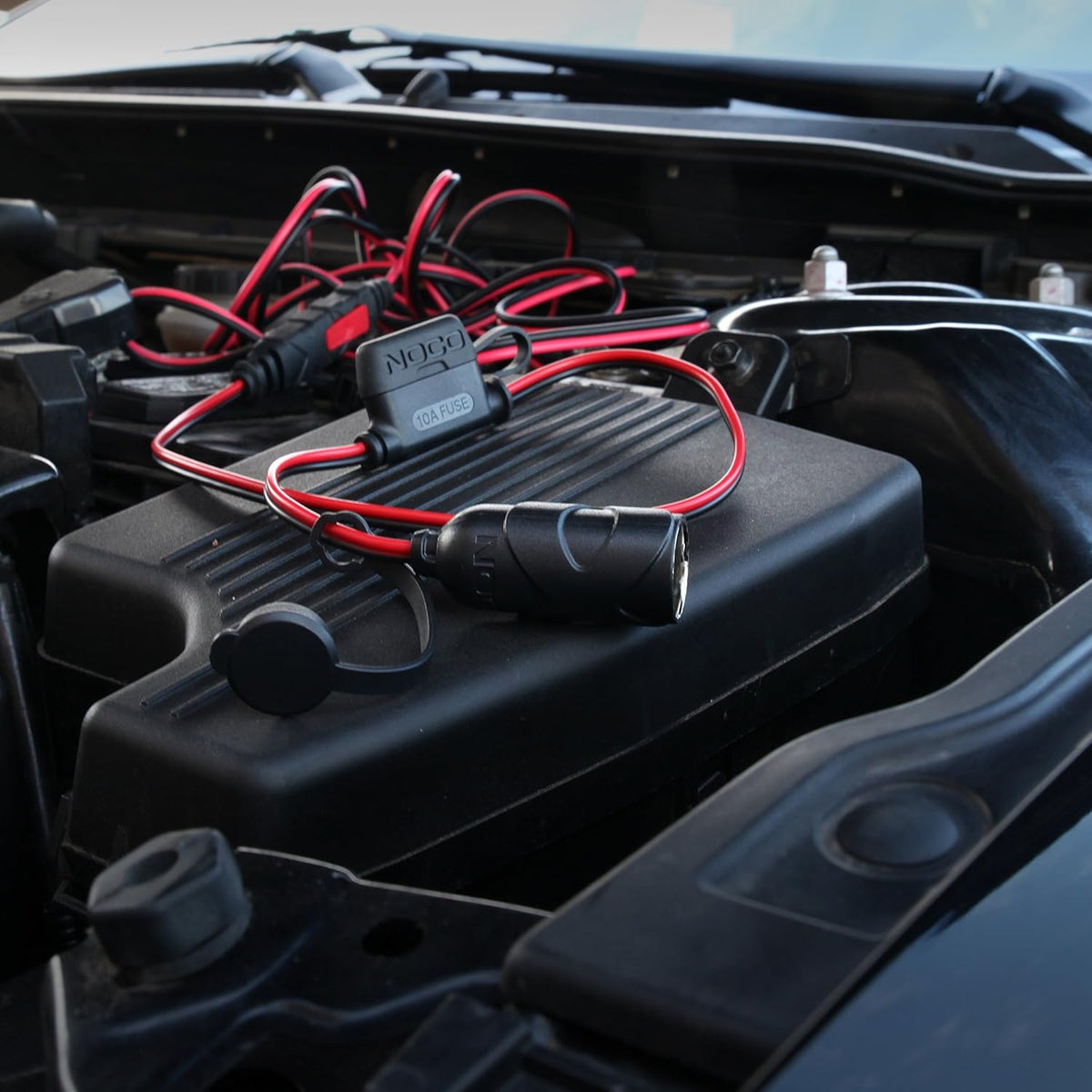 12V Female Plug Battery Charger M130635