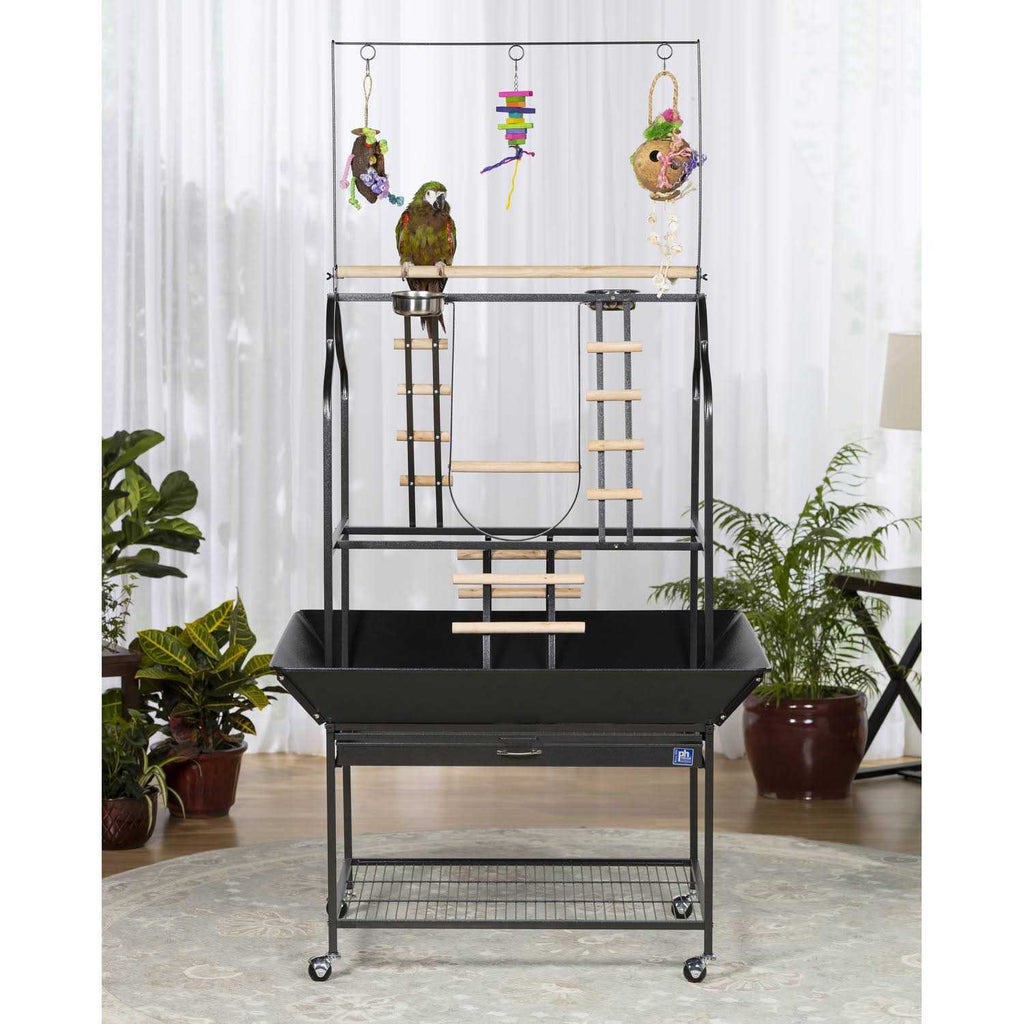 Parrot Playstand Y6293