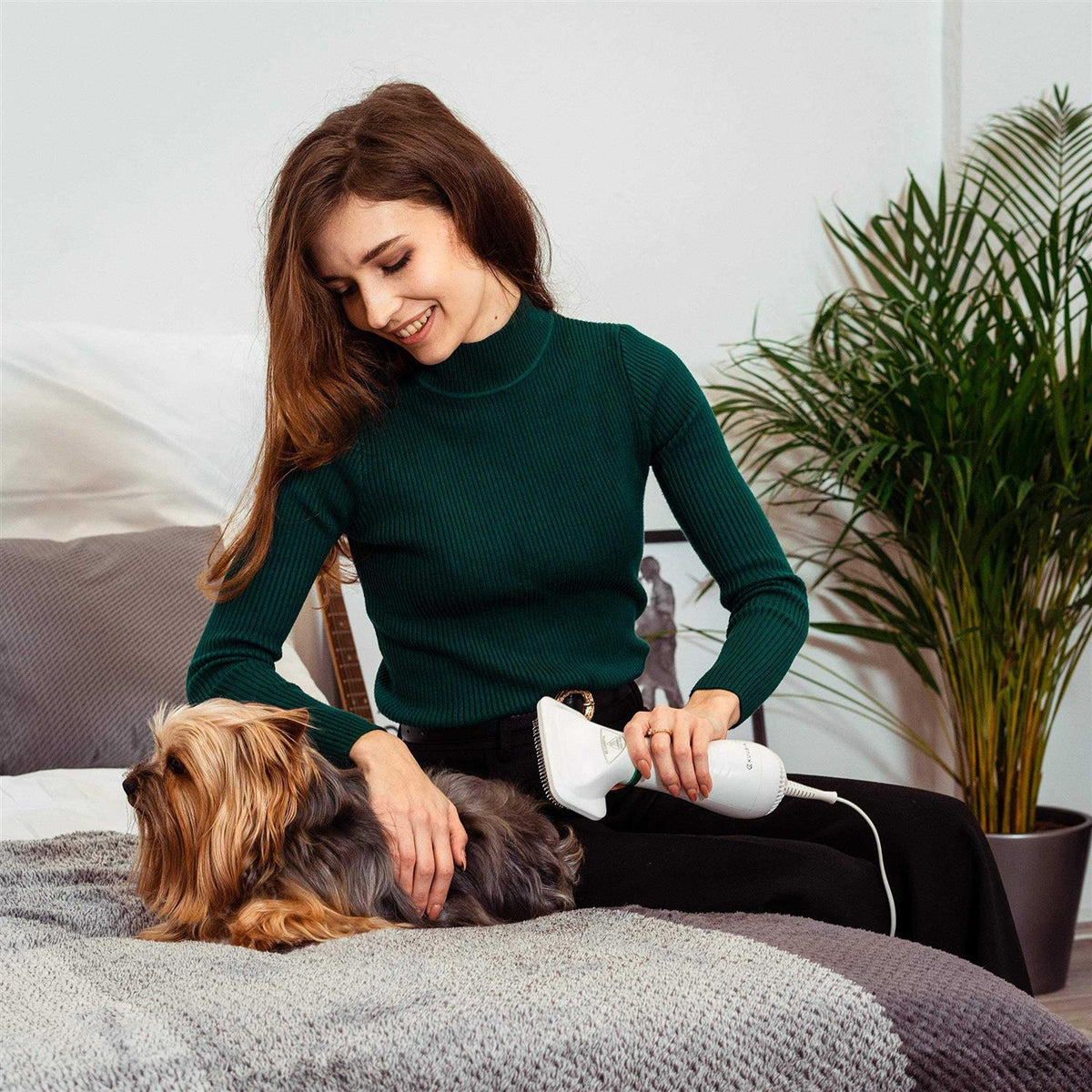 2-in-1 Pet Hair Dryer with Slicker Brush A402