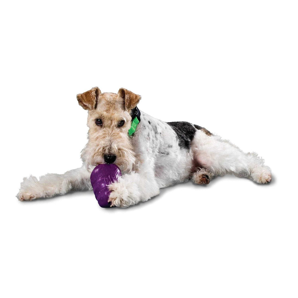Squirrel Dude Dog Toy O10423
