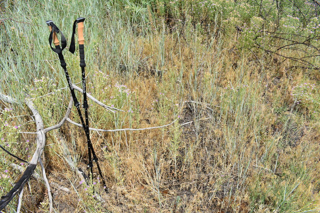 Trekking Poles K944466