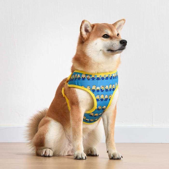 Blue Mesh No-Pull Dog Harness G45925