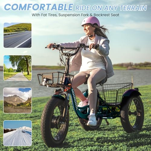 Electric Tricycle, 20" x 4" Fat Tire, 48V 500W, 7 Speed, Aluminum Frame K4234