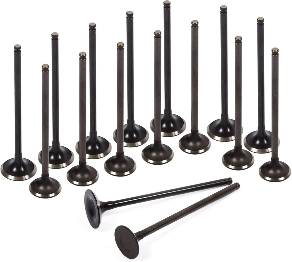 Full Gasket Set Head Bolts Intake Exhaust Valves for 92-95 Honda Civic VTEC 1.6 SOHC D16Z6 X92517