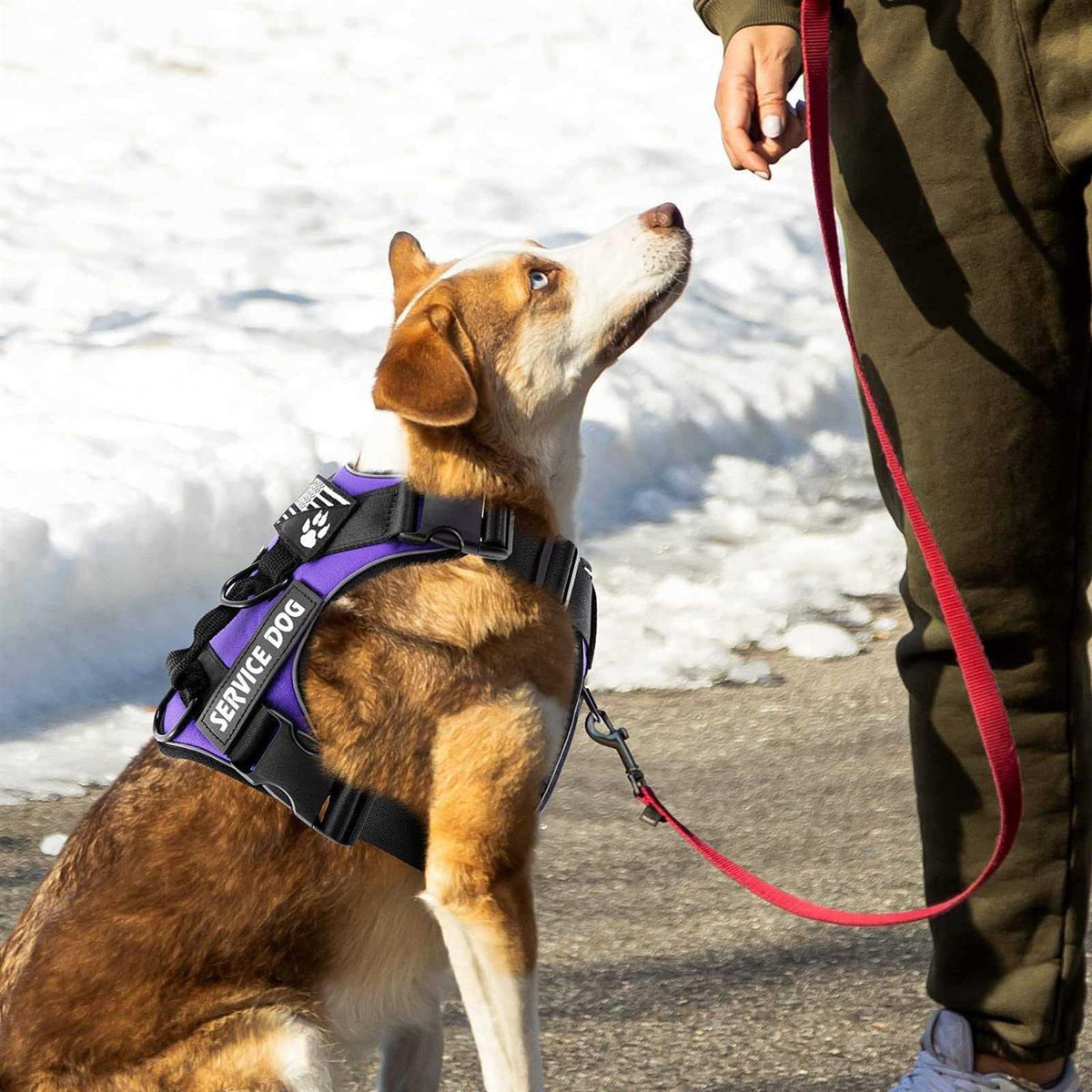 Reflective Dog Vest Harness with 5 PCS Patches Q637