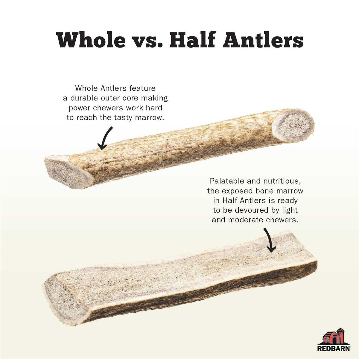 Deer Antler P115
