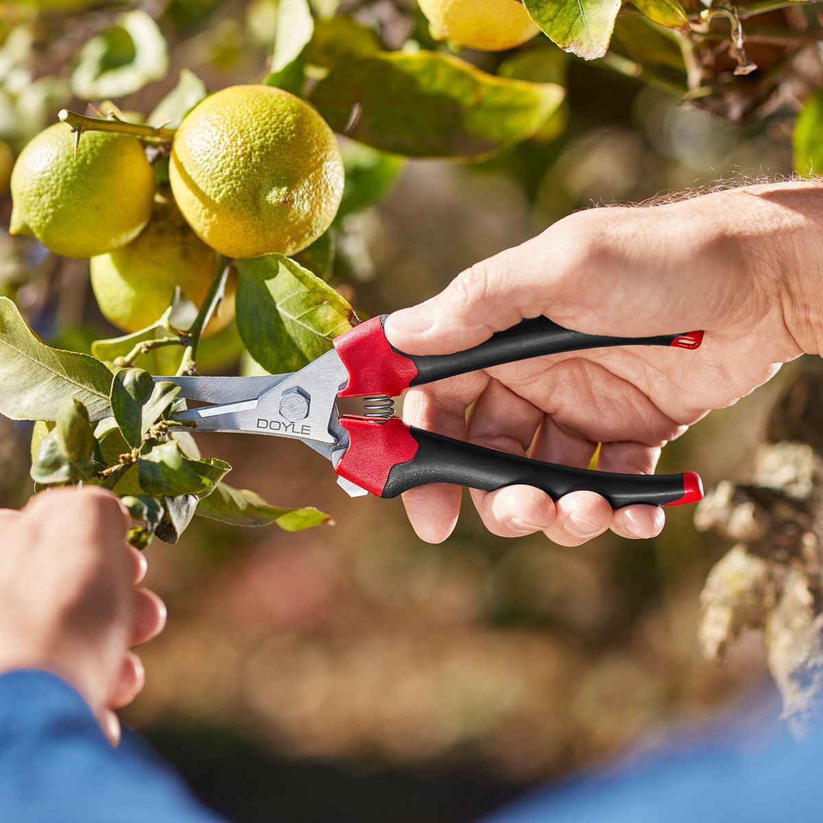 7-1/2 in. Micro-Tip Pruning Shears W54943