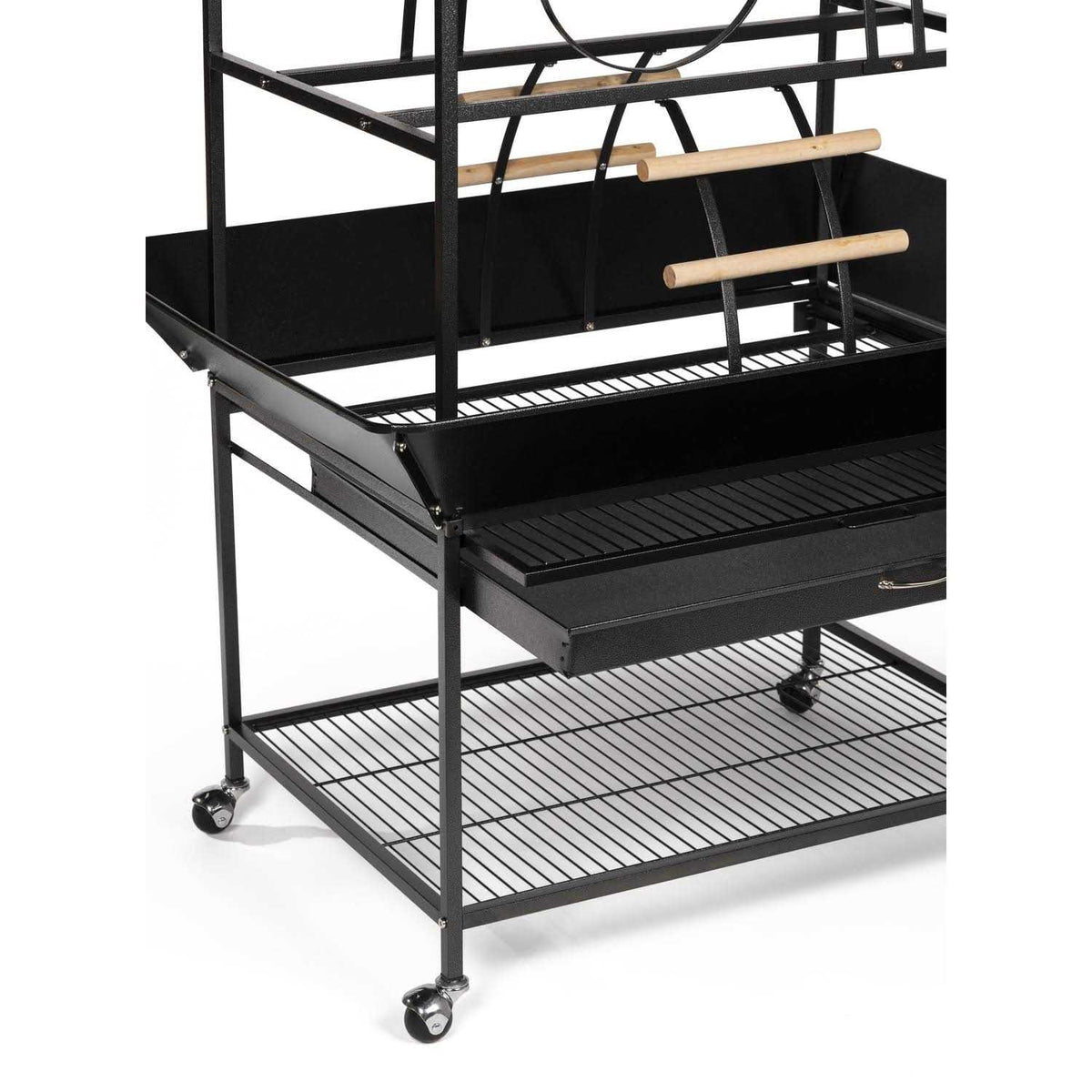 Parrot Playstand Y6293