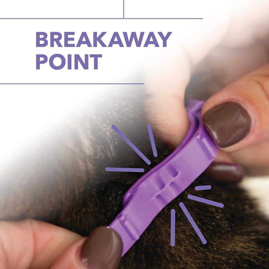 Flea & Tick Collar for Cats & Kittens C9858