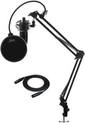 Condenser Studio Microphone Bundle (5 Items) Q815