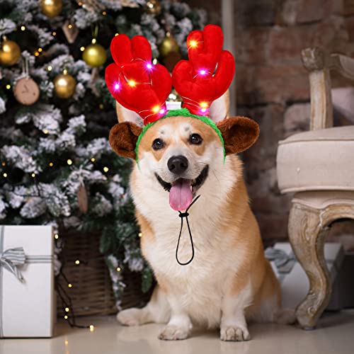 Light up Pet Christmas Headbands 3 Pieces T817018