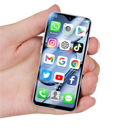 2+16GB Metallic Gray Mini 4G Smartphone O302496
