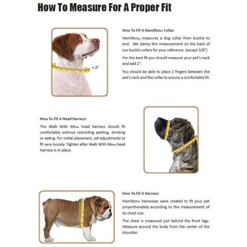 Thick Nylon Dog Collar C440689