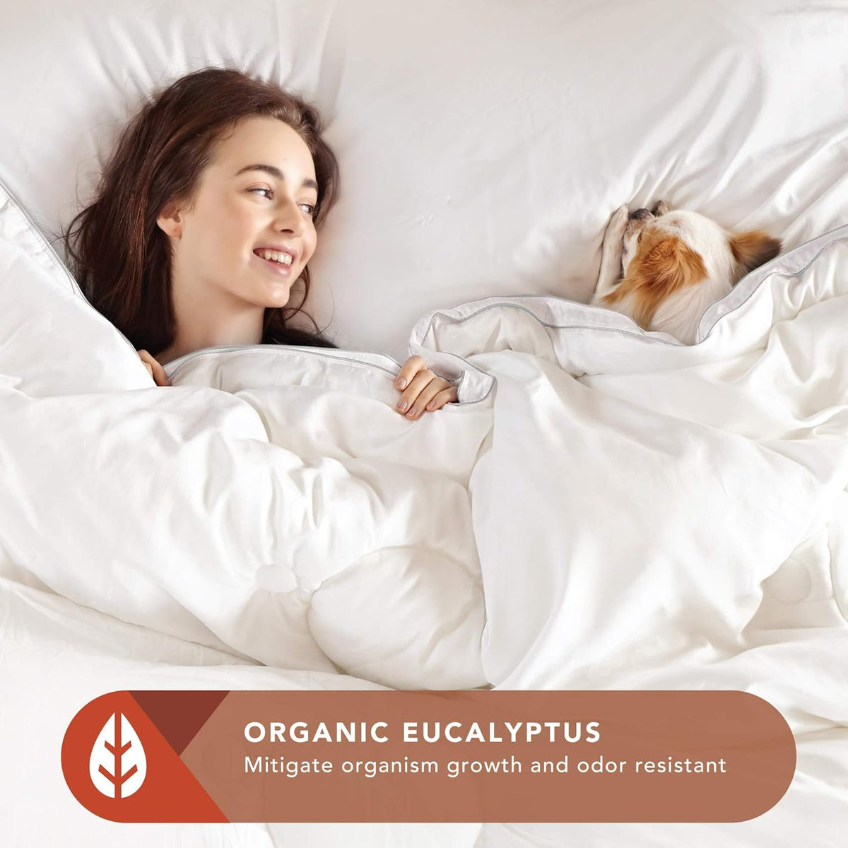 White Lyocell Eucalyptus Full Queen Comforter S54521