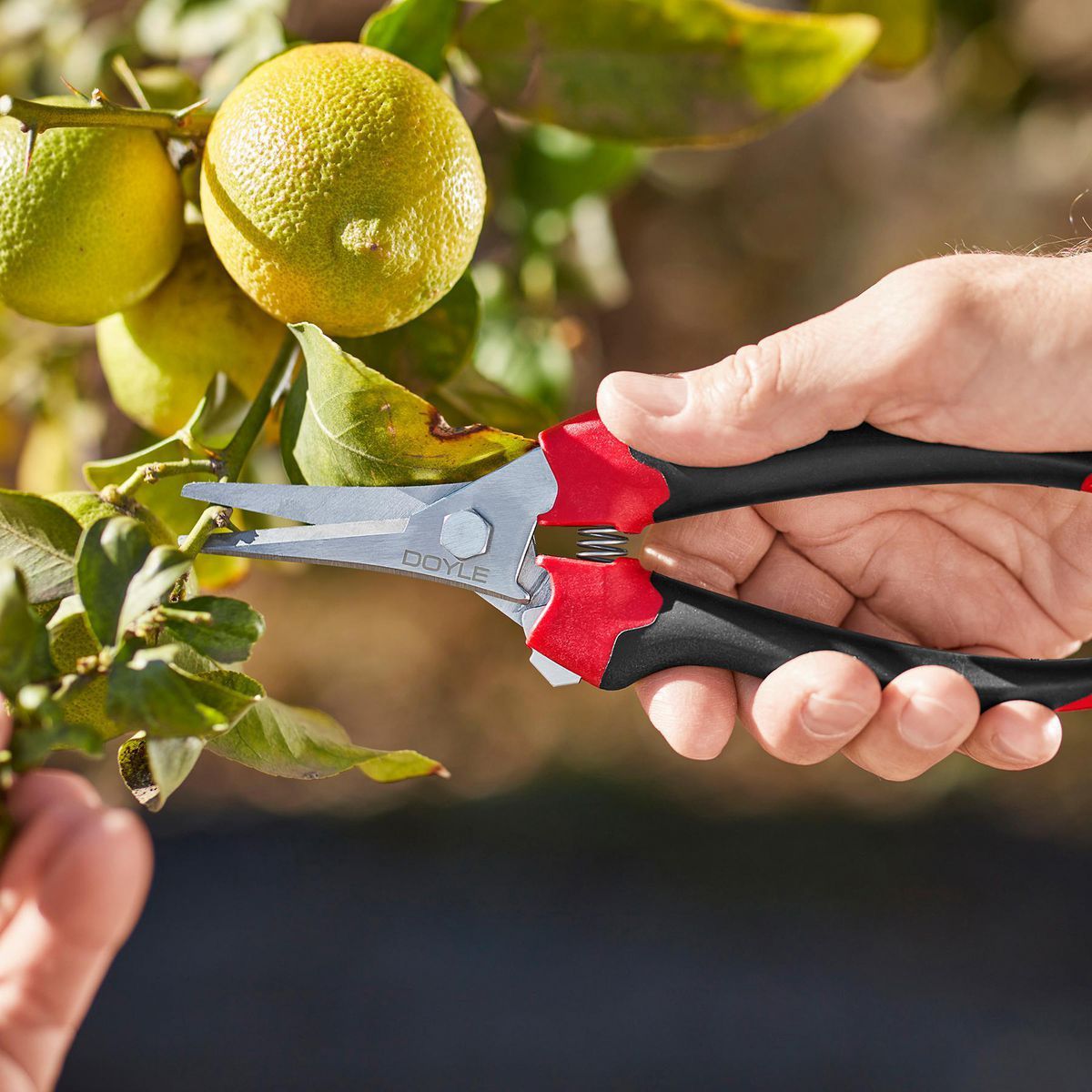 7-1/2 in. Micro-Tip Pruning Shears W54943