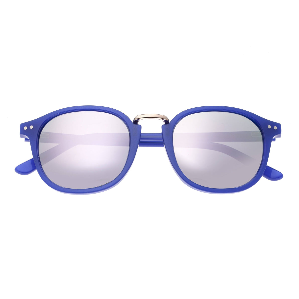 Navy Silver Polarized Sunglasses O915