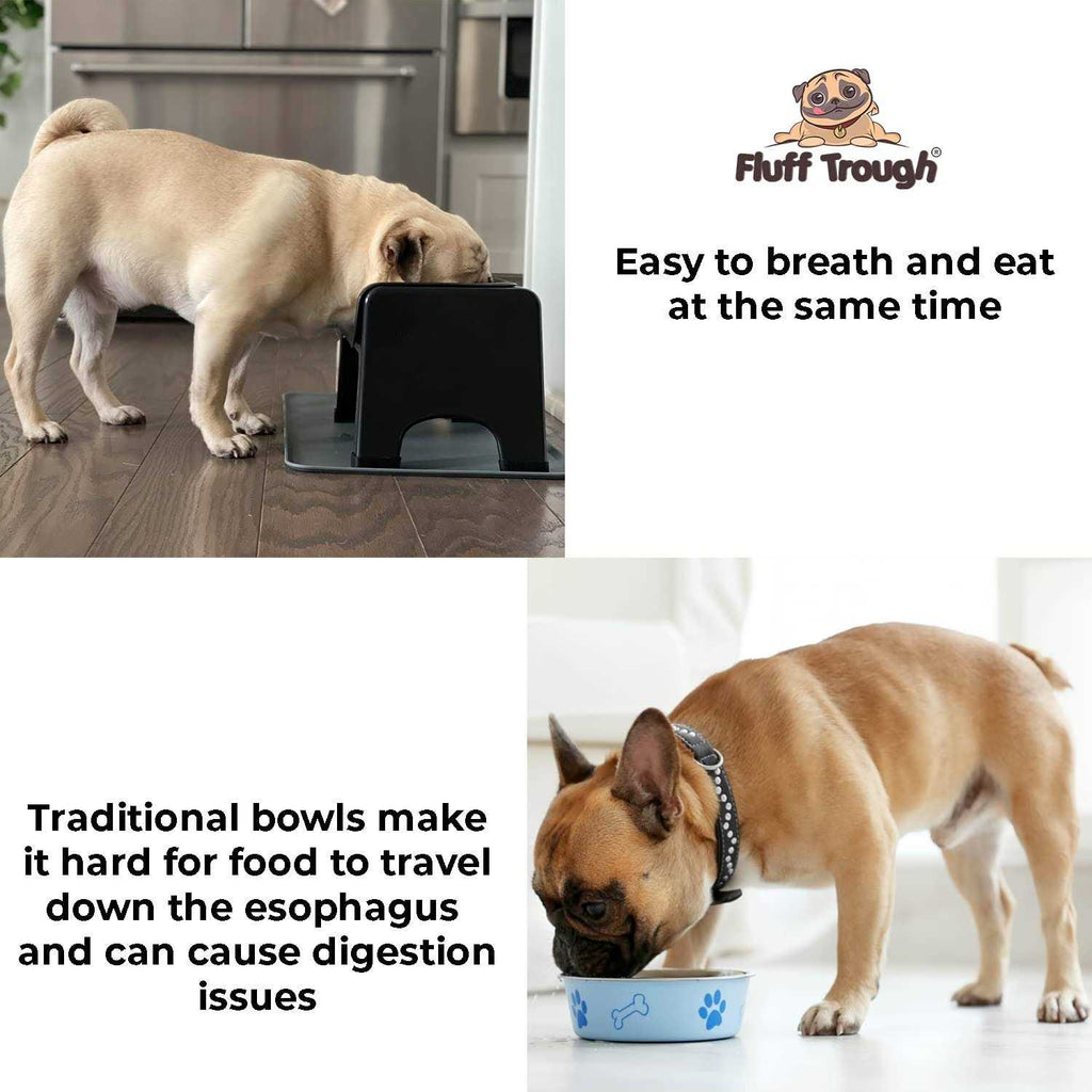 Elevated Dog & Cat Feeder S24664